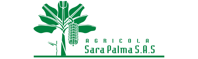 Logo|Listas
